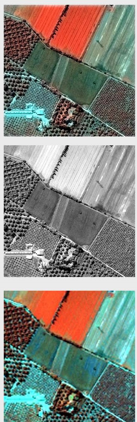Fotografía satélite de terreno agrícola con varias modificaciones